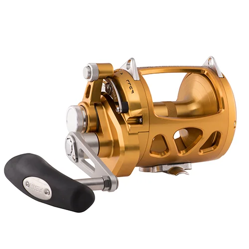 Fishing reels for heavy currents-Affordable fishing reels with spinning-Penn INT30VIW International Lever Drag Conventional Reel 30 sz