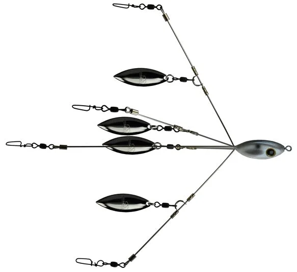 Picasso School E Rig Bait Ball