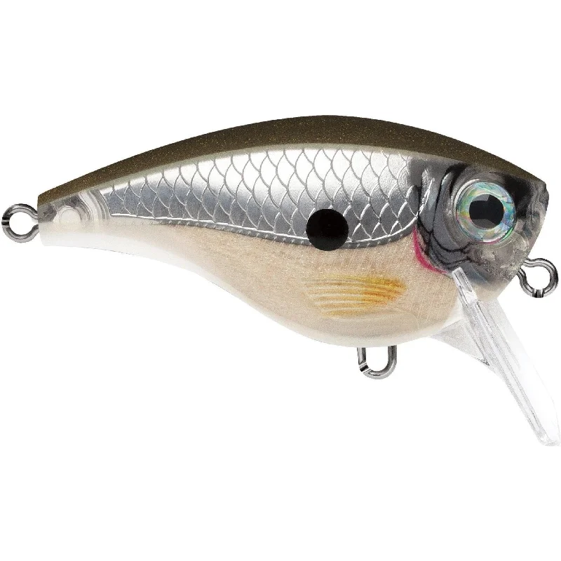 Pearl Grey Shiner