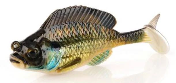 Bream