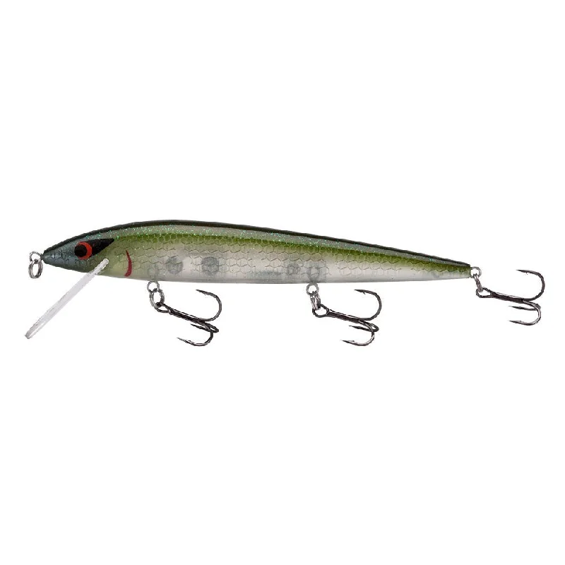 Emerald Shiner