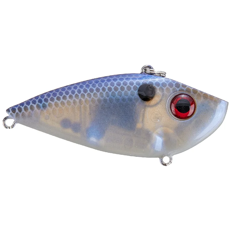 Blue Gizzard Shad